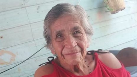Buscan en La Plata a una mujer de 78 años que desapareció hace una semana en Arturo Seguí Buscan en La Plata a una mujer de 78 años que desapareció hace una semana en Arturo Seguí