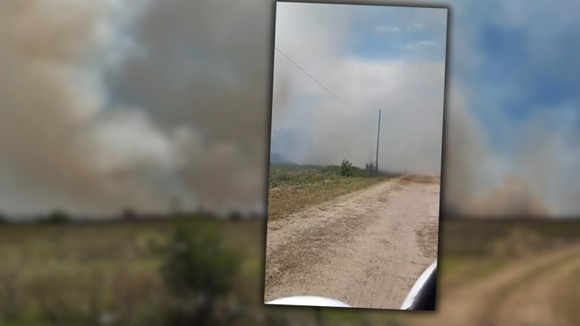 un incendio en un campo de arana puso en alerta a los vecinos