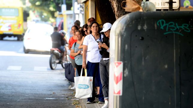 ¿cual sera la temperatura maxima en la plata?