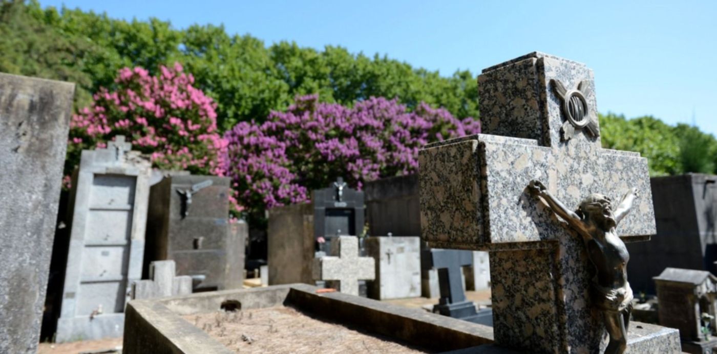 1665355972254.jpg?x=11&y=248&width=1478&height=739&rotate=0&scaleX=1&scaleY=1&ow=1500&oh=996&&cw=1920&ch=950