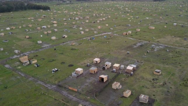 garro pide ?respuestas urgentes de nacion y provincia? por una toma de tierras en la plata