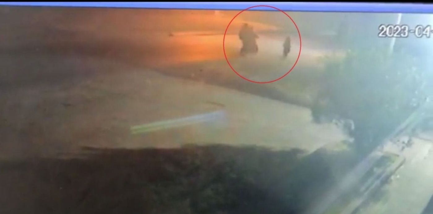 1682458042404.jpg?x=6&y=3&width=1493&height=746&rotate=0&scaleX=1&scaleY=1&ow=1500&oh=830&&cw=1920&ch=950