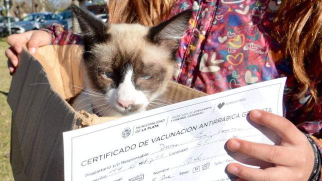 preparan una jornada gratis de vacunacion y atencion veterinaria en san carlos y city bell