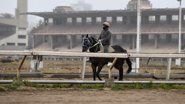 el hipodromo de la plata sigue sin carreras por la medida de los jockeys y cuidadores