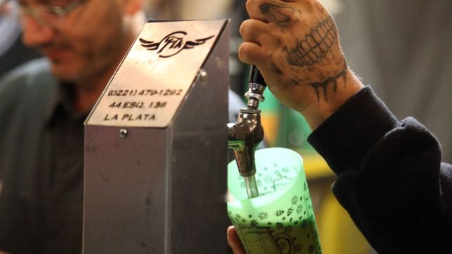 la cerveza artesanal convoco a 100 mil personas en el camping municipal