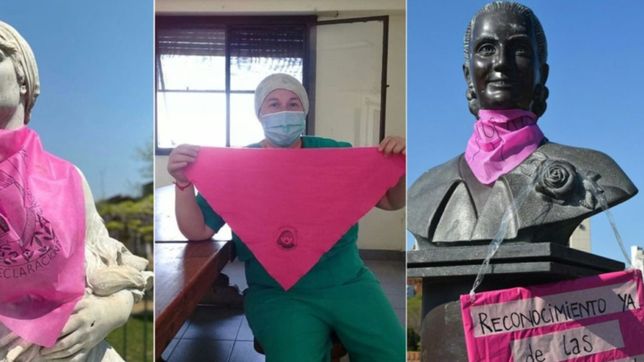 emergencia en violencia de genero: la otra campana de panuelos rosas en la plata