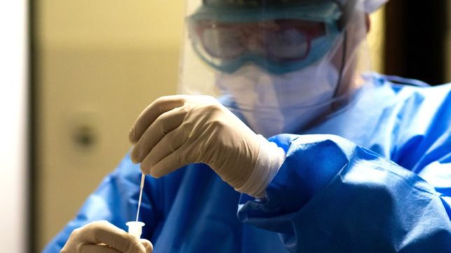 en la plata se sumaron 274 nuevos contagios y 5 muertes por coronavirus