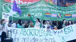 diputados libertarios presentaron un proyecto para derogar el aborto legal diputados libertarios presentaron un proyecto para derogar el aborto legal