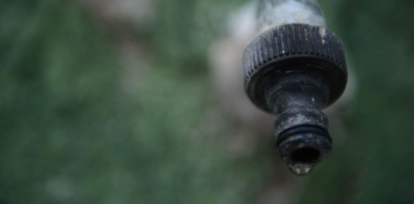 1580776083484.jpg?x= 5&y=241&width=1510&height=755&rotate=0&scaleX=1&scaleY=1&ow=1500&oh=996&&cw=1920&ch=950