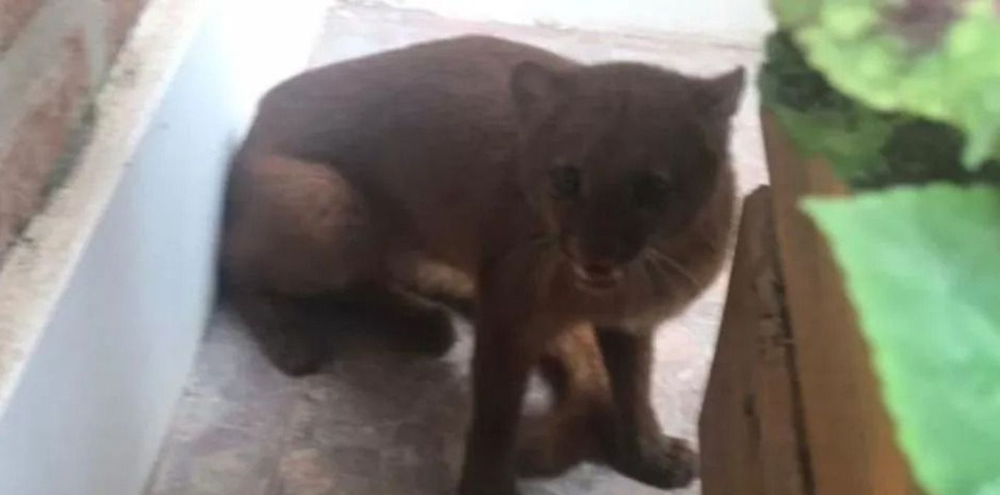 1588681936844.jpg?scaleX=1&scaleY=1&oh=546&x=13&y=0&width=949&height=474&rotate=0&ow=970&&cw=1920&ch=950