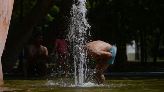 la plata es un horno: ¿cuales son las recomendaciones para evitar golpes de calor?