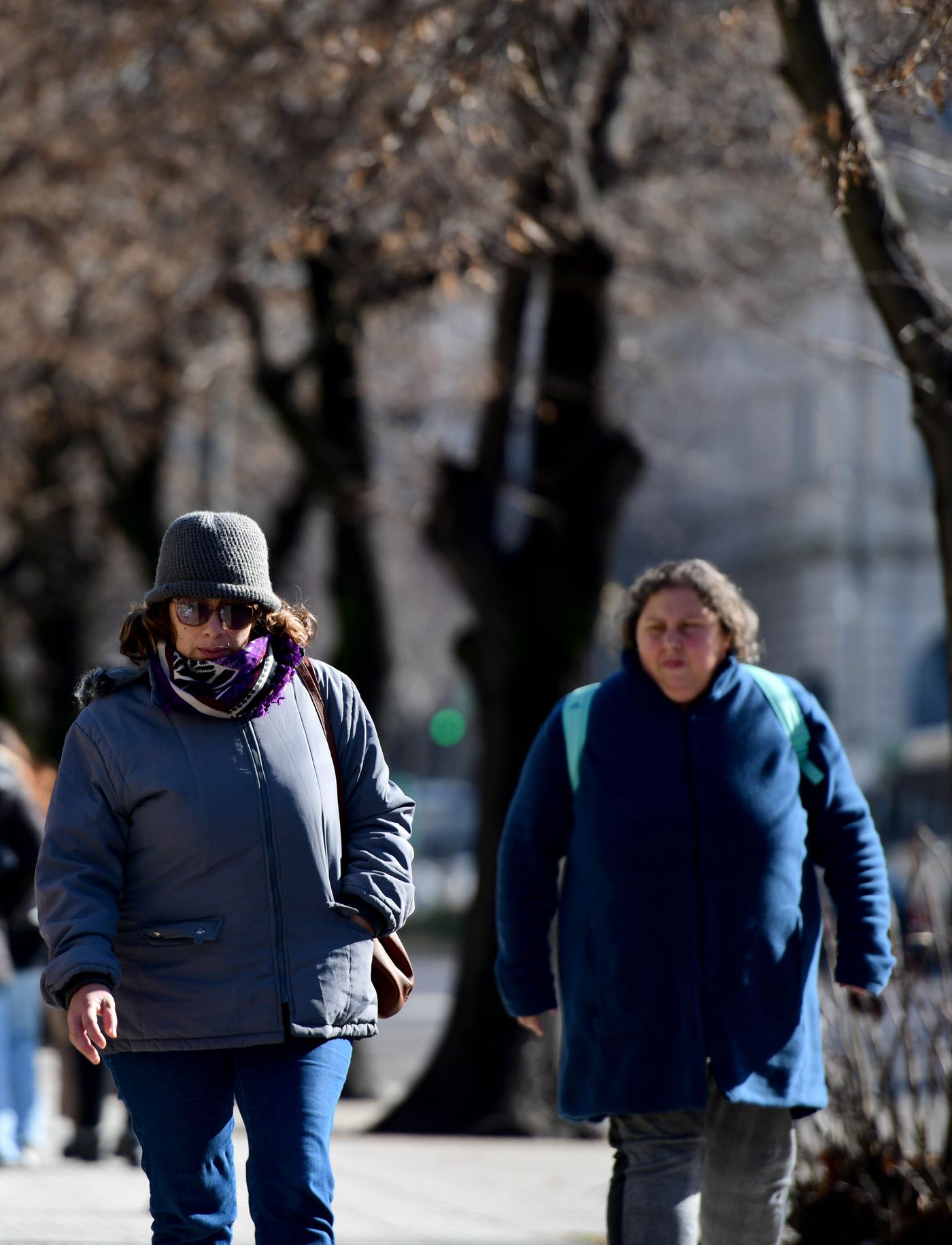 El Servicio Meteorológico Nacional anticipa un martes de frío en La Plata y así sigue la ola polar en la ciudad.