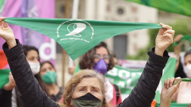 realizaron un panuelazo en gobernacion para exigir aborto legal, seguro y gratuito