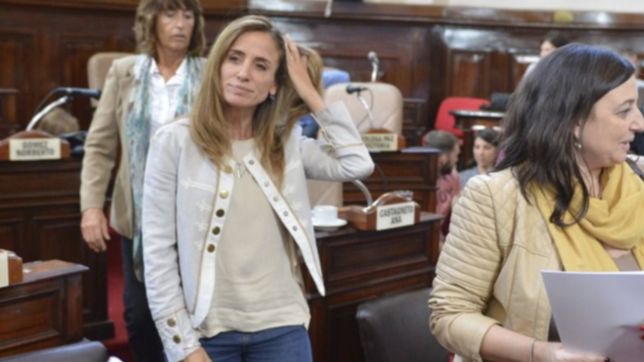 pediran informes por supuestas estafas en arturo segui e inconsistencias en la ddjj de tolosa paz