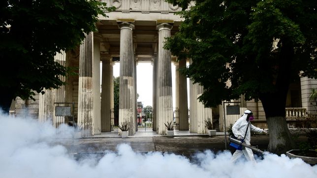amplian la fumigacion en diez barrios de la plata para combatir a los mosquitos