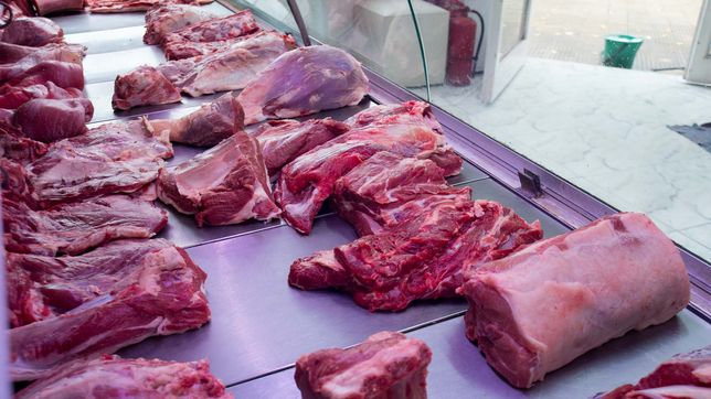 delincuentes entraron a los tiros a una carniceria de la plata y se llevaron la recaudacion