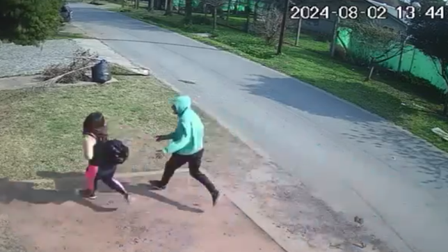 video: dos motochorros atacaron a una mujer en villa elisa a plena luz del dia