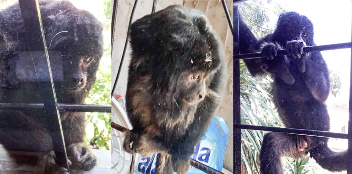 1548272977231.jpg?y=0&rotate=0&scaleY=1&oh=742&x=8&width=1484&height=742&scaleX=1&ow=1500&&cw=1920&ch=950