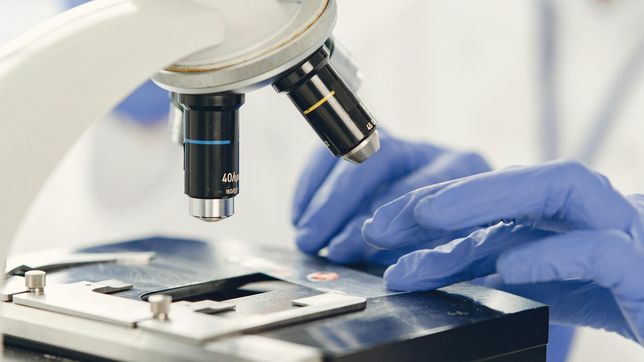 cientificos del conicet y la unlp descubrieron un anticuerpo que frena el avance del cancer