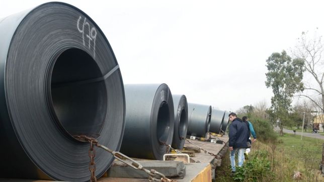 un tren de cargas volvio a descarrilar en la plata