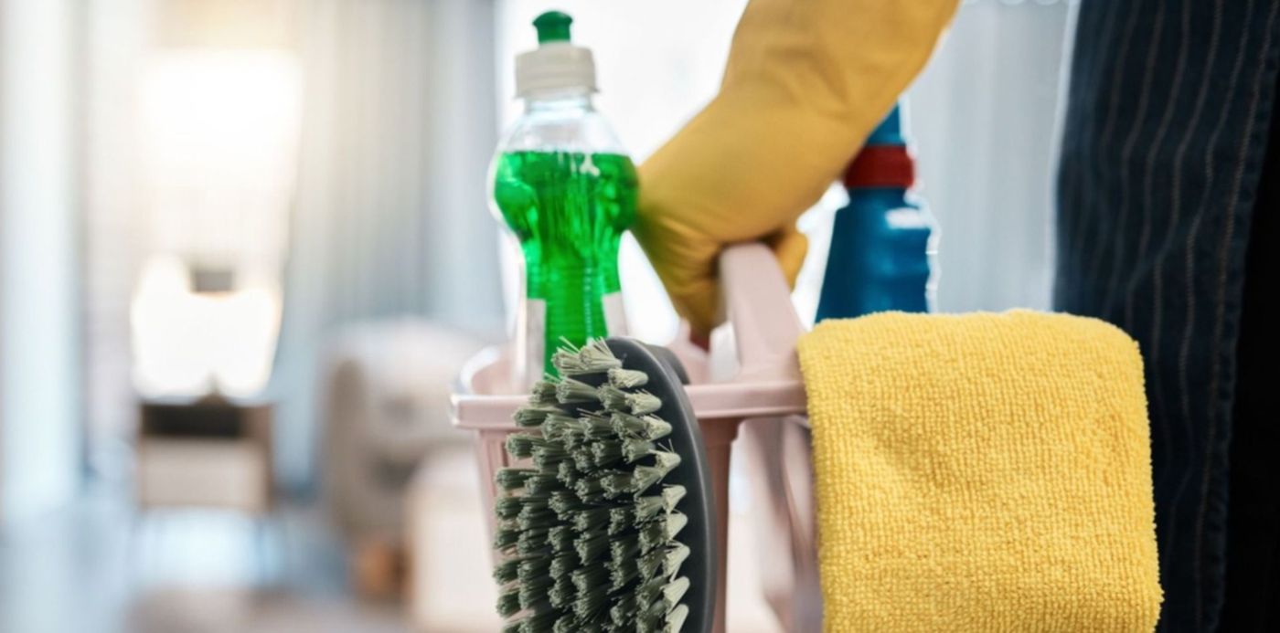 Trabajadoras de casas particulares Empleadas domésticas