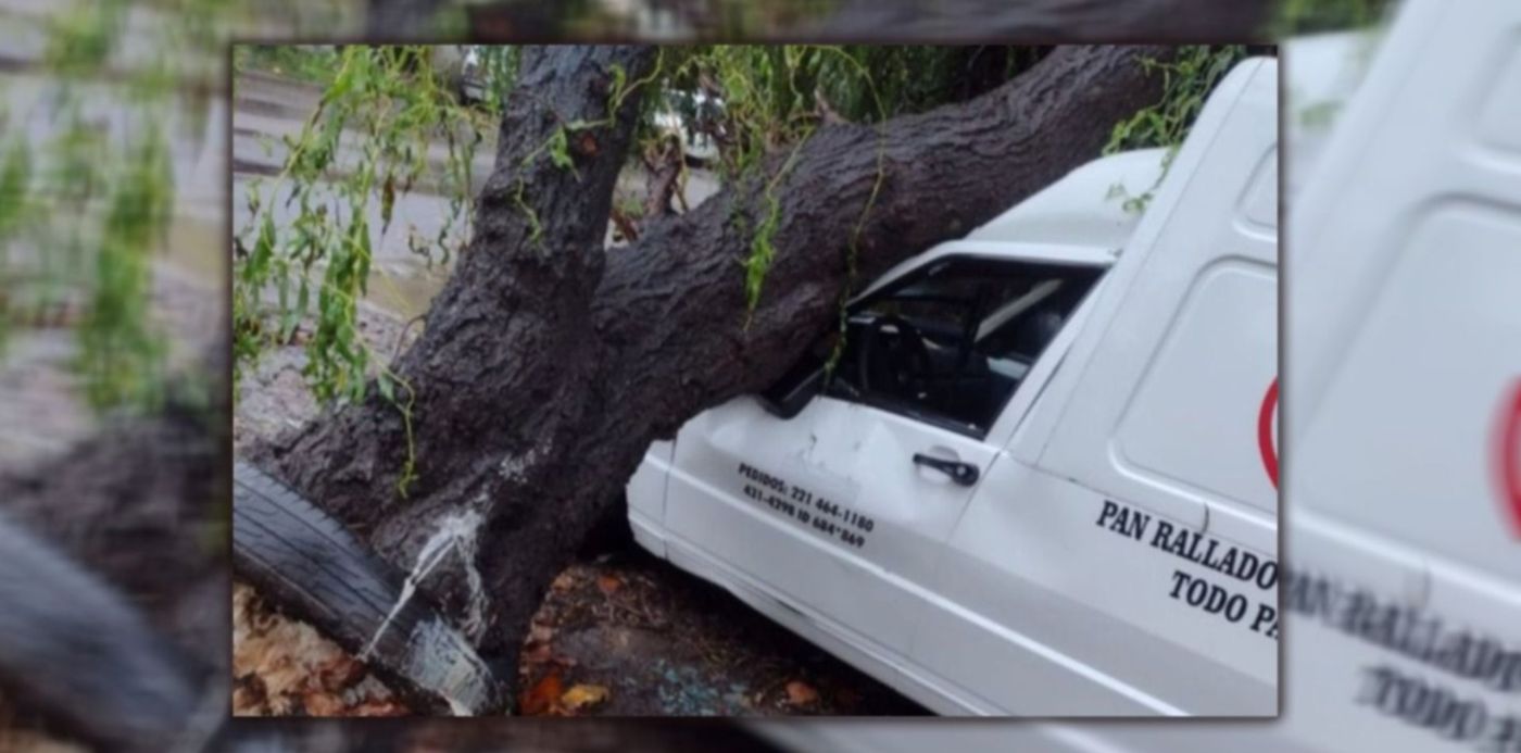 1685127932029.jpg?x=13&y=0&width=1484&height=742&rotate=0&scaleX=1&scaleY=1&ow=1500&oh=742&&cw=1920&ch=950