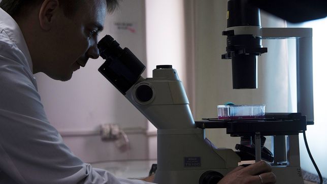 cientificos hallaron un vinculo entre alzheimer y osteoporosis que podria transformar las terapias