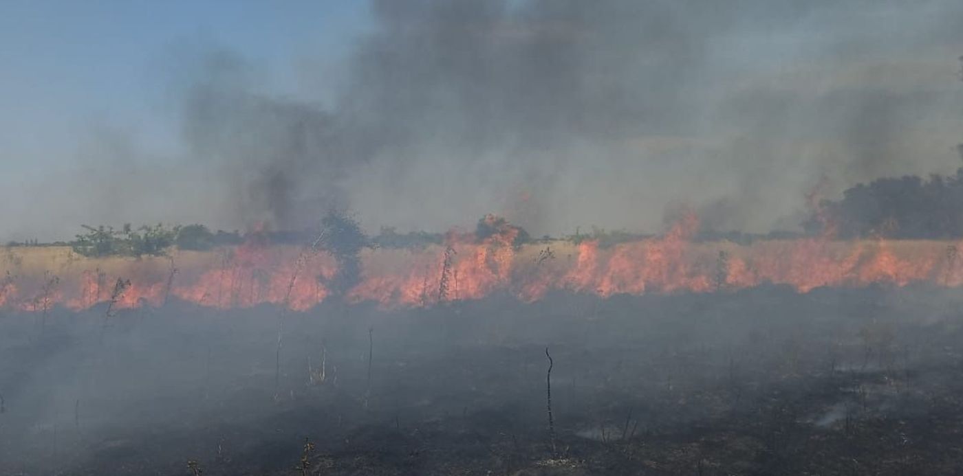 1640810060746.jpeg?x=148&y=4&width=1126&height=562&rotate=0&scaleX=1&scaleY=1&ow=1280&oh=576&&cw=1920&ch=950