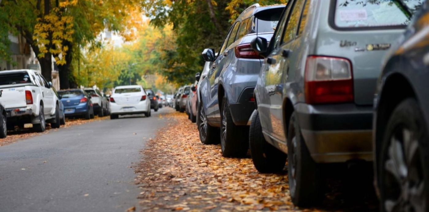 Clima Otoño Nublado Hojas