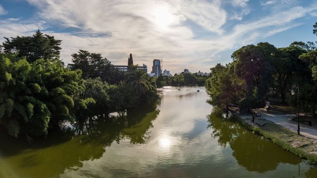 alerta amarilla por cianobacterias en el lago del bosque