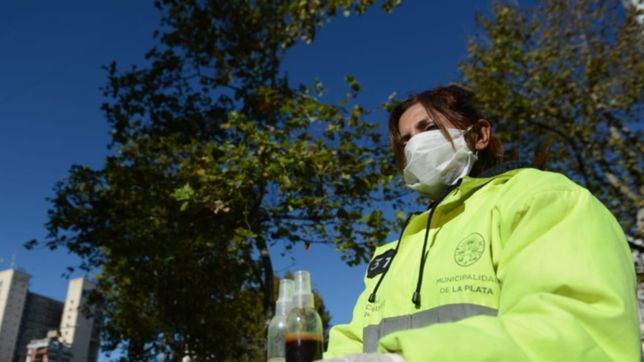 la plata sumo 3 muertes y 137 nuevos casos de coronavirus