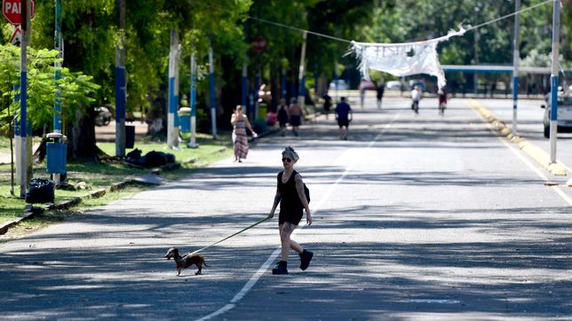 se viene la ultima semana del verano y asi va a estar el clima en la plata