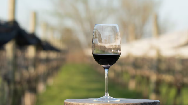 los descuentos de banco nacion para disfrutar bodegas, gastronomia y turismo durante la vendimia 2026