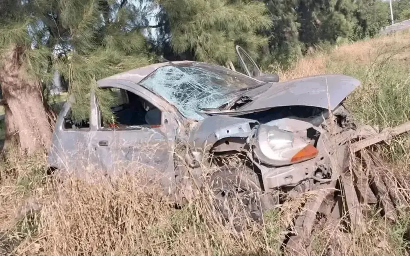 wmremove-transformed