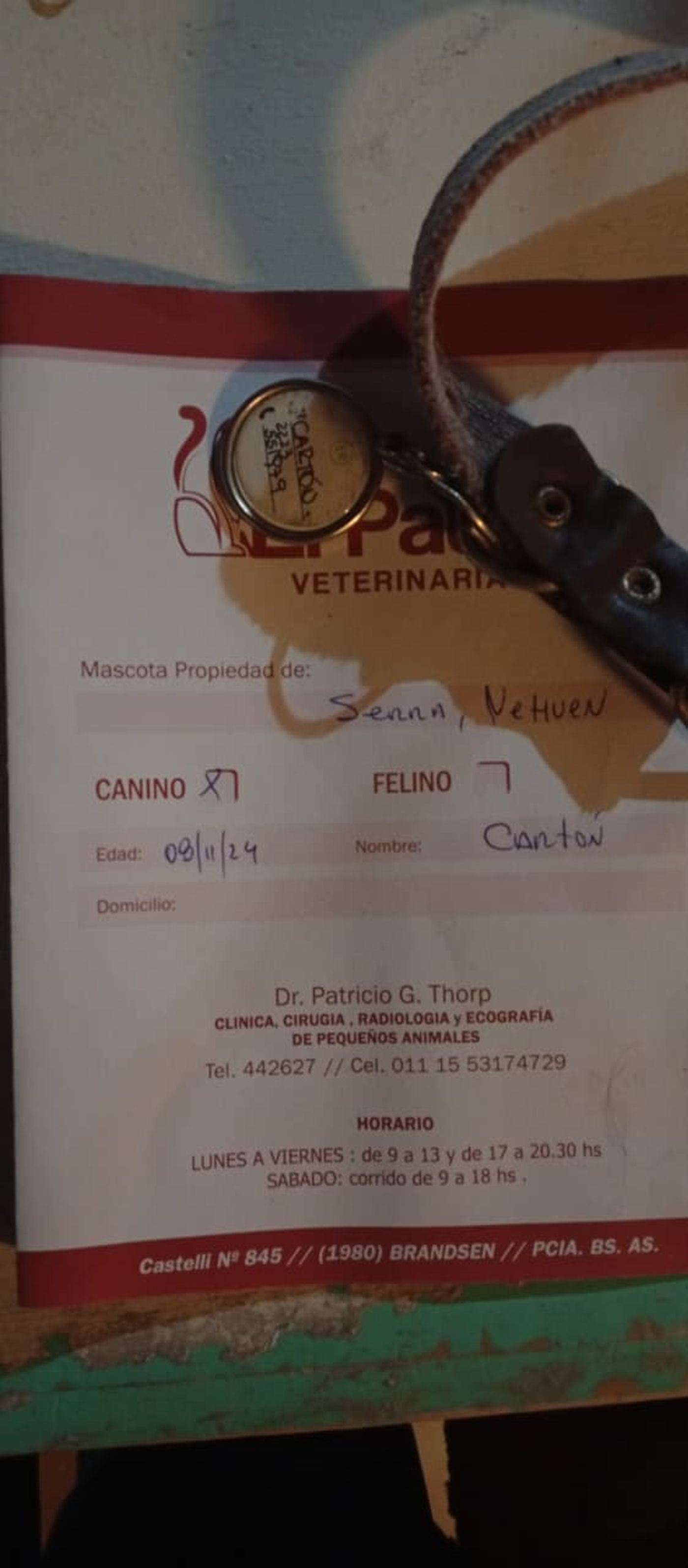 La libreta sanitaria y el collar de Cart&oacute;n, que la familia de sol present&oacute; ante la Justicia