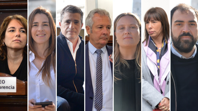 karinistas, bullrichistas, piparistas y fuerzas del cielo: ¿quien es quien entre los libertarios?