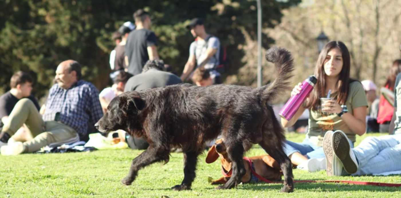 1632757333500.jpg?x=7&y=103&width=1486&height=744&rotate=0&scaleX=1&scaleY=1&ow=1500&oh=1000&&cw=1920&ch=950