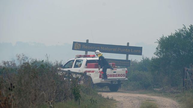 aseguran que el incendio en la reserva natural de punta lara esta controlado