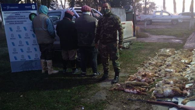 detuvieron a tres cazadores furtivos en la ruta 2 con 50 liebres muertas