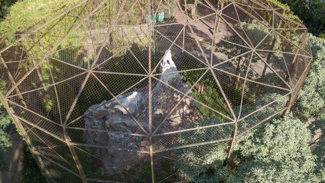 el futuro del bioparque de la plata se mete en el debate politico