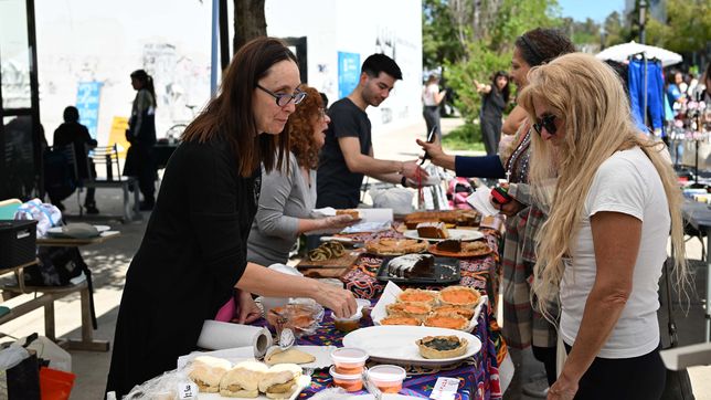 investigadores de la unlp venden tortas para volver a egipto a investigar la tumba