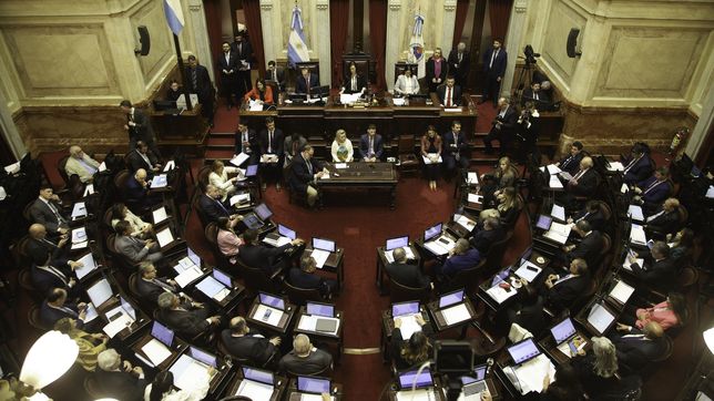 el senado aprobo la boleta unica con cambios y define diputados