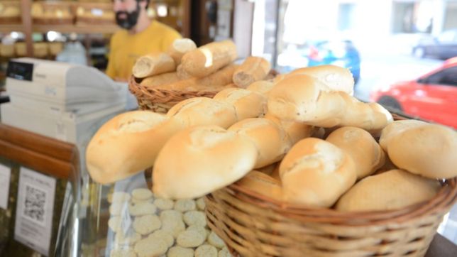una pareja robo una panaderia en el centro de la plata: encanonaron a una empleada