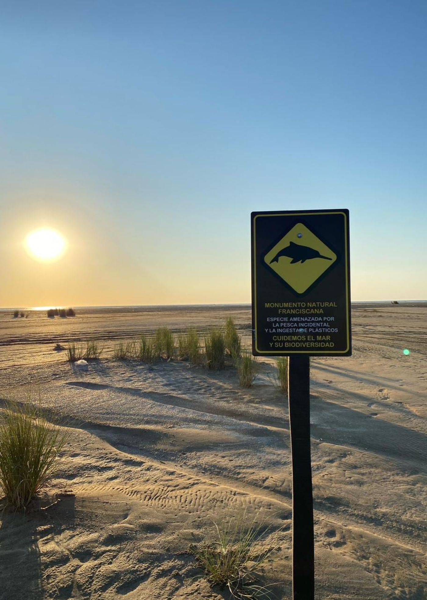 En 2017, el Gobierno de la Provincia de Buenos Aires declaró como Monumento Natural al delfín franciscana