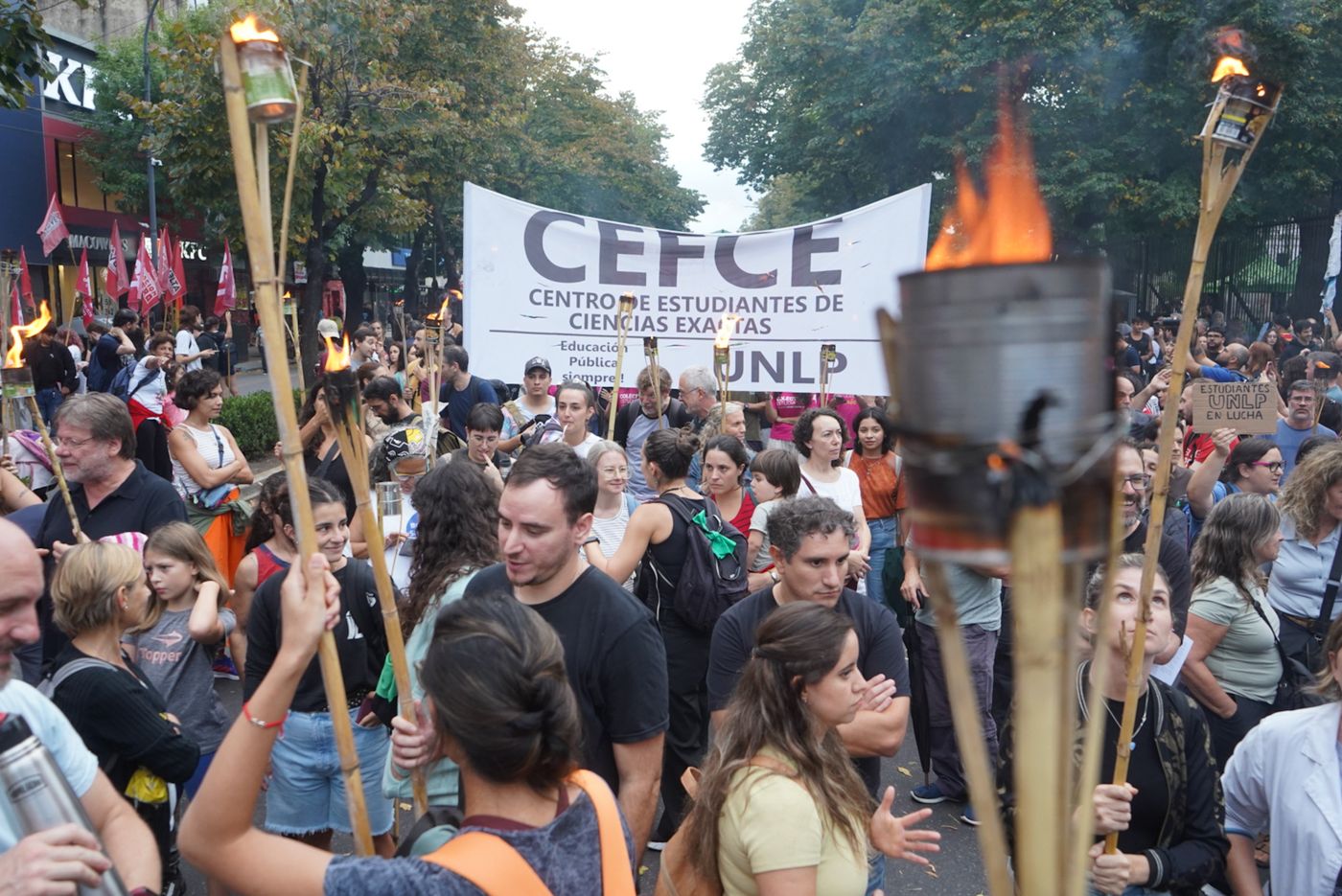 Marcha de antorchas UNLP  (4)