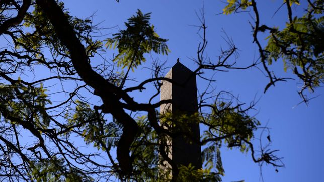 ¿a que hora se podria ver el fenomeno astronomico que se da una sola vez al ano en la plata?