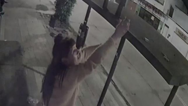 una ladrona quedo filmada mientras robaba las lamparitas de una dietetica de la region