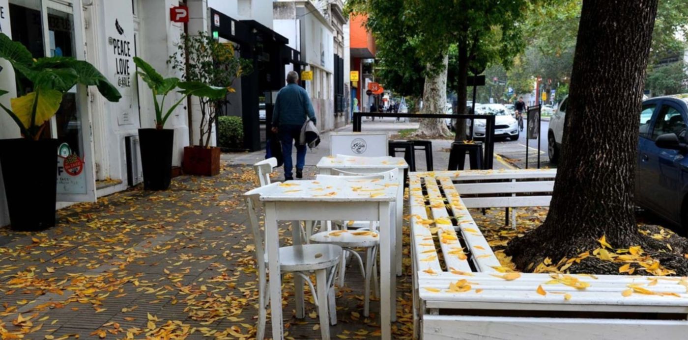 Clima Otoño Nublado Hojas