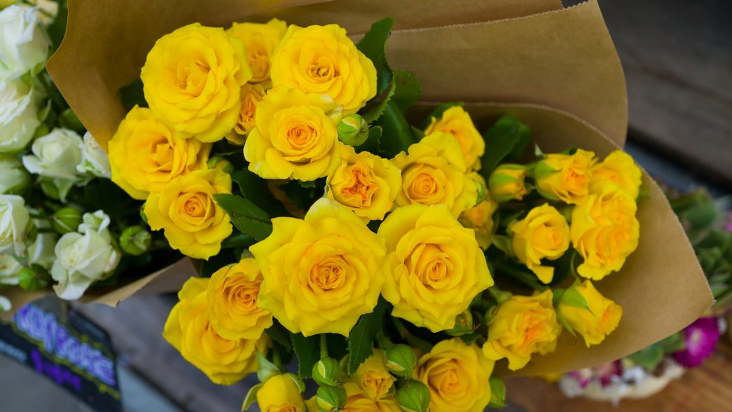 Robó tres ramos de flores en La Plata para su novia, intentó escapar y lo detuvieron