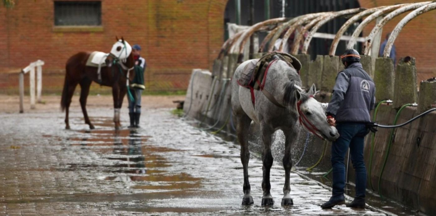 1632780672999.jpg?x=3&y=241&width=1494&height=747&rotate=0&scaleX=1&scaleY=1&ow=1500&oh=1075&&cw=1920&ch=950